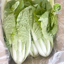 얼갈이 4kg, 단품