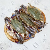 가을 꽃게 활 숫 꽃게 충남 태안 산지직송 1kg, 3kg
