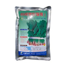 미래웰빙 시금치씨앗 450g 시금치종자 월동시금치씨앗 약40~45평용 재래종 노균병에 강함