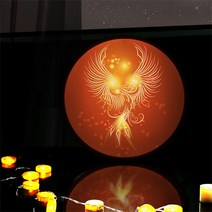 ne597-LED액자45R_풍수승천하는불새그림, 타입2 재물