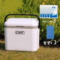 Modlauna 캠핑 아이스박스 보냉 쿨러백 미니 쿨러 36 리터 대용량 낚시, 25L, 흰색