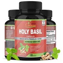 Organic Cadane Holy Basil 홀리 바질 툴시 생강 해외, 3개