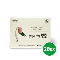 땅콩새싹차 청춘 국산 땅콩새싹 100% 원물 땅콩나물 물 특허 참나무 발효 톱밥 레스베라트롤 비타민E 아스파라긴산 16종 아미노산 사포닌 엽산 제3지방 이소성 나쁜 지방 효능 추천, Brainbee 2Gift