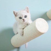 원목 우드 캣워커 캣타워 고양이 벽선반 벽걸이 구름다리 투명해먹 DIY, Q + 1개