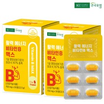 건국유업 활력 에너지 비타민B 맥스 22.5g, 30정, 2개