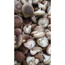 다원 명품표고버섯 300g