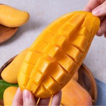 브라질 애플망고 열대과일 프리미엄 선물용 고당도 1kg 2kg 4kg, 선물용9과