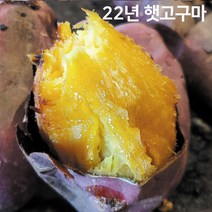 우리가족 영양간식 땅끝마을 해남 황토밭에서 자란 꿀고구마 농장발송, 1박스, 중 사이즈 5kg