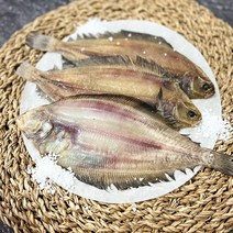 국내산 반건조 물가자미 미주구리 기름가자미, 물가자미 500g 8미 (21~24cm내외), 1개