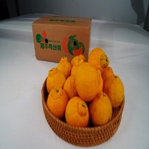 탐라인 제주직송 한라봉 가정용 혼합과 10kg 1box