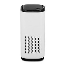 차량용 공기청정기 음이온 소형 원룸 미니 공기청정기, 흰색 USB 플러그 인