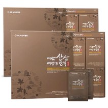 GC녹십자웰빙 어삼 산삼배양근진액 선물세트 24포x2박스, 2박스, 1200ml