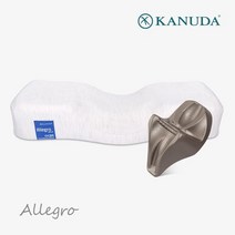 가누다 블루라벨 알레그로 모달 싱글세트(베개1개+가누다냅), S