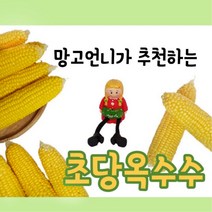망고시스 초당옥수수 추천 프리미엄 특품 상품 17cm이상 15-17cm, 특품 17cm이상, 10개