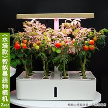 스마트팜 식물재배기 가정용 수경재배기 실내 led 지능형 야채 재배자 홈 실내 발코니 흙이 없는 물 재배 식물 묘목 야채 입체 야채 냄비 랙 인공물 21, z202 수경 재배자 화이트(국내 한정), 플라스틱, 중간
