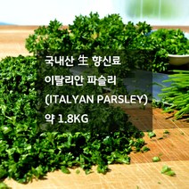 미트팬트리 국내산 生 이탈리안 파슬리 1.8kg 거칠게 다져서 오일파스타에~