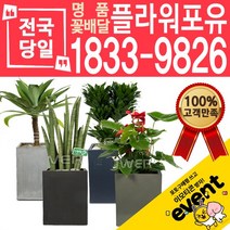 약국 한의원 전국당일발송, (선택73)드라코