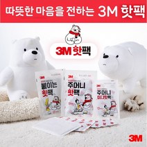 3M 주머니핫팩 붙이는핫팩 10개묶음 나일론부직포, 붙이는 핫팩 10개