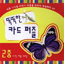NSB9788964286203 새책-스테이책터 [똑똑한 카드 퍼즐 : 곤충 사진 퍼즐-10장] --똑똑한 퍼즐-훈민출판사-훈민출판사 편집부 지음-유, 똑똑한 카드 퍼즐 : 곤충 사진 퍼즐-10장