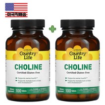 컨츄리라이프 콜린 Choline 100정 2통세트