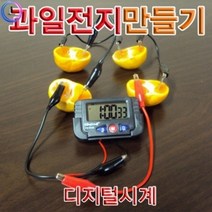 왈가닥 과일전지만들기 디지털시계(1인용)