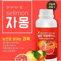 (선택2) 일곱가지 과일 농축액 에이드 스무디 차 직접만들기 자몽 레몬 청포도 망고 오렌지 복숭아 자두 (1KG*2), 과일두가지맛 배송메세지 표기해주세요