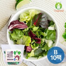 데이밀 자연을담은 샐러드 실속B 100g x 10팩 국내산 야채믹스 드레싱없음, 10개