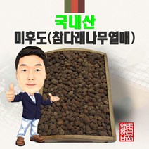 국내산 미후도(참다래나무열매) 300g (경북 영천) 국산, 100g