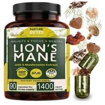 해외 NATUREBYTES 버섯 추출 차가 표고 영지 마이타케, 1개
