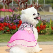 강아지 드레스 원피스 봄과 여름 애완 동물 귀여운 스커트 고양이 공주 한복 의류 사랑스러운 개, XL