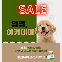 강아지 아카데미