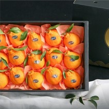 제주농장 자연 그대로를 담은 한라봉 3kg 5kg, 오버헤드컴파트먼트 3kg중과 9-12, 오버헤드컴파트먼트 본상품선택