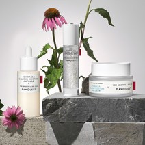 로우퀘스트 에키네시아 진정 3종세트 젤세럼50ml+앰플50ml+젤크림50ml, 1.젤세럼+앰플+젤크림