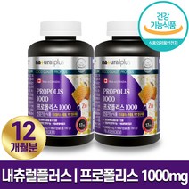 식약처 인증 내츄럴플러스 프로폴리스 1000mg x 180 캡슐 항균 항염 활기찬 하루 캐나다산 온가족 항산화 면역 기능 대용량 영양제 6개월 12개월 18개월 홈쇼핑 방송 건강, 2박스 (12개월분), 1000mg x 180캡슐
