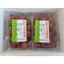 스테비아 방울토마토 500gx4팩 당도높은방울토마토 토마토효능, 단품