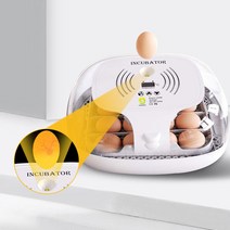 루틴닭 계란 인큐베이터 자동 터너 투명 커버 병아리 물 리필 디지털 치킨 부화 메추라기, 한개옵션0