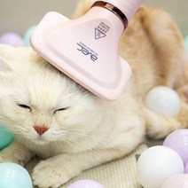 아베크 털뽕 에어브러쉬 2종 애견 강아지 미용, 아베크 털뽕 에어브러쉬 핑크
