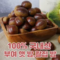 100% 국내산 충주 공주 부여 햇 밤 칼집 밤 특 대 1kg, 칼집(대)1kg, 1개