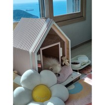 자체제작 원목 항균 애견 하우스 소형 중형 사계절 프리미엄 강아지집 고양이집, 올리브