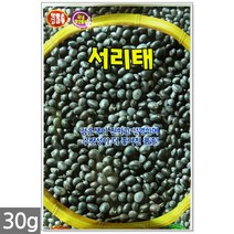 3종 모듬 당근 씨앗 1g - 씨 당근씨앗 당근씨 노랑당근 자색당근 빨간당근 자색당근 주말농장 텃밭, 17_서리태콩(30g)