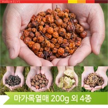 건강차 건조 탱자 산사 사과락 헛개열매 마가목 200g, 헛개열매(12YU)