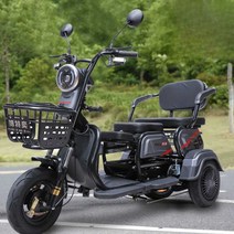 전기 삼토바이 다인승 세발 삼륜 오토바이 가정용 60v, 4세대 800W 모터 (48V20a+  50KM) 48
