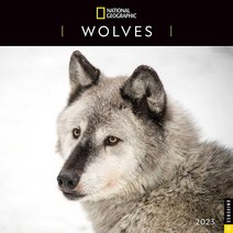 National Geo그래픽 Graphic: Wolves 2023 Wall Calendar