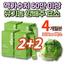 국내산 무안 동결건조 유기농 양배추 효소 가루 분말 스틱 탄수화물 단백질 분해 효소 높은 역가수치 고역가수치 채소가루 아밀라아제 프로테아제, 4박스