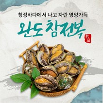 브랜드없음 완도 참전복 1kg 17~20미, 1개