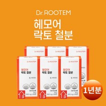 고함량 흡수 잘되는 체내 부족한 증세 철 보충 어지러울때 에 좋은 먹는 비동물성 비헴철 철분 철분제 비타민C 건강 기능 식품, 6BOX(1년분)