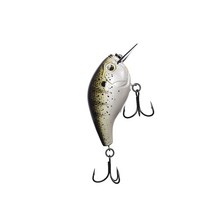 13 FISHING - 스캠프 스퀘어 빌 2.5인치 21그램 데이 올드 과카몰리(E-SC25-DG) 658200, Louisiana Frog Cakes