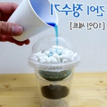 초등 간단한과학실험 교구 어린이 정수기만들기(10인용), 단일