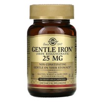 솔가 젠틀 아이언 철분 25mg 90정