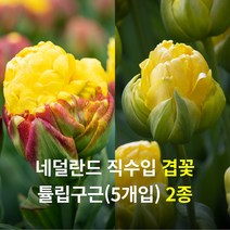 우리화훼종묘  TOP 제품 비교
